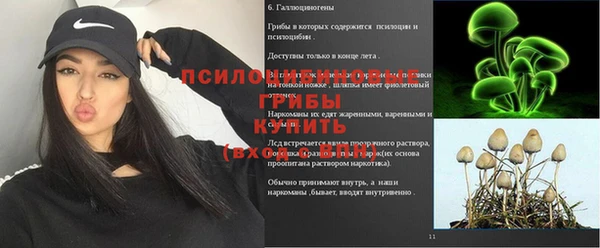 каннабис Алексин